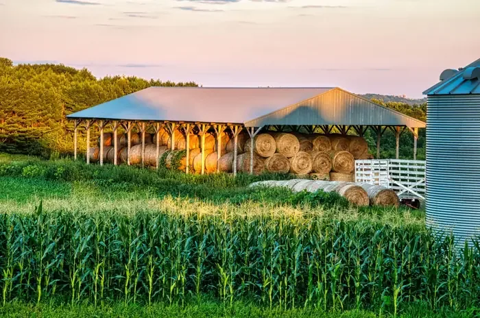 Livestock & Hay Storage Barns - Wichita KS Livestock & Hay Storage Barns in Wichita KS