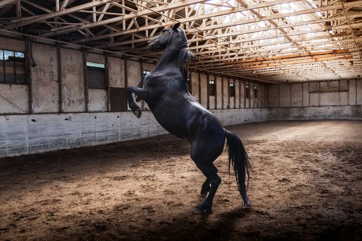 Horse Barn & Equestrian Facility Construction detail - Wichita KS post-frame construction